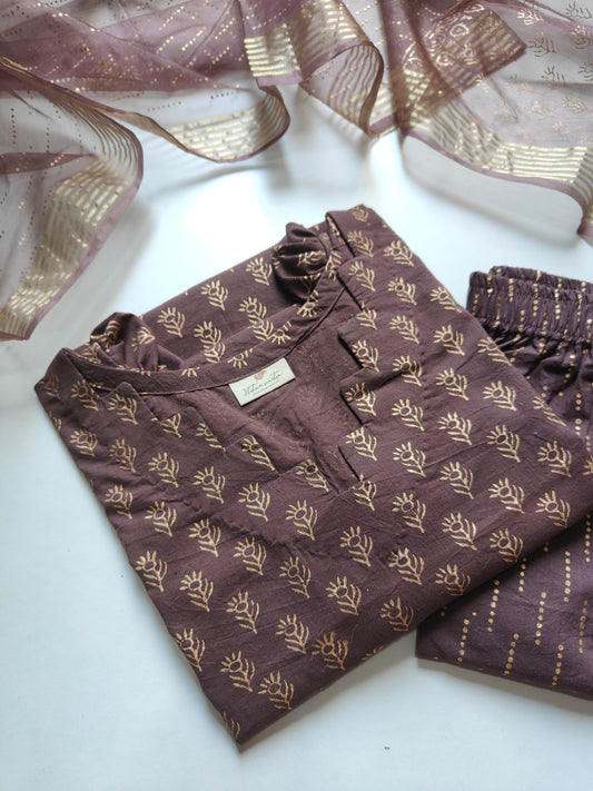 Cotton suit set with organza dupatta